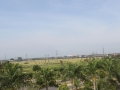dblindonesiabali3